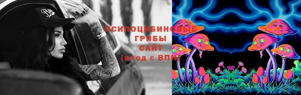 a pvp Михайловка