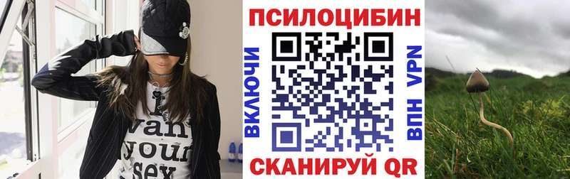 kraken зеркало  Лабинск  Псилоцибиновые грибы MAGIC MUSHROOMS 